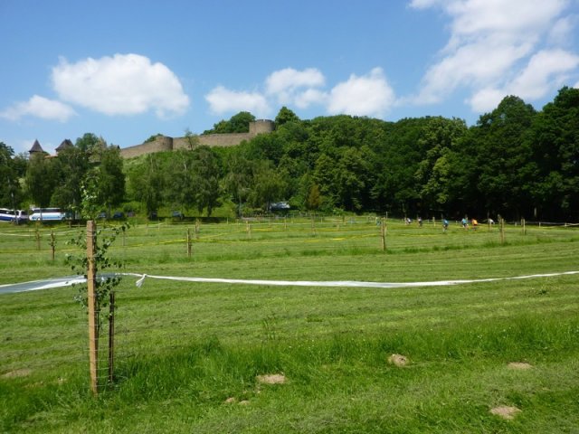 2015